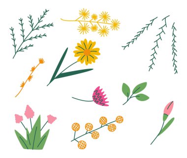 Çiçekler ve otlar düz tasarımda mega kümeli grafik elementler. Bir demet soyut kır çiçeği, papatya, gül, sümbül ve diğer çayır çiçekleri, yapraklı bitkiler. Vektör illüstrasyonu izole nesneler