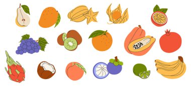 Tropik meyve seti. Sağlıklı egzotik yiyecekler. Doğal taze egzotik vitamin. Papaya, limon yarısı, üzüm, karpuz dilimi, kayısı dilimi, böğürtlen. Düz vektör çizimleri beyaz arkaplanda izole edildi