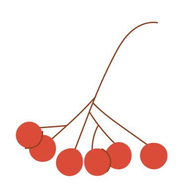 Kırmızı meyveler, ağaç dalı. Holly, dal üzerinde ilex meyvesi. Noel bitkisi, kış filizi. Bayramlık rowan spreyi. Xmas tatil süsü. Düz grafik vektör çizimi beyaz arkaplanda izole edildi