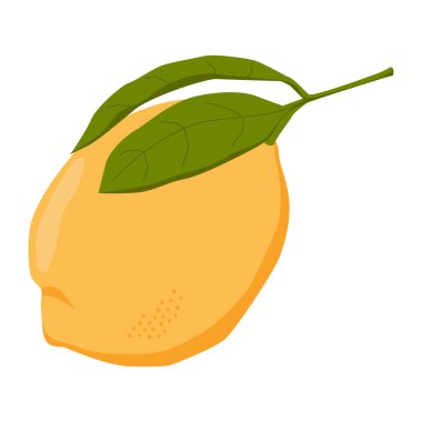 Limon, taze narenciye. Egzotik tropikal yiyecekler, sağlıklı ekşi yiyecekler. Organik doğal sarı limon, C vitamini ikonu. Düz grafik vektör çizimi beyaz arkaplanda izole edildi