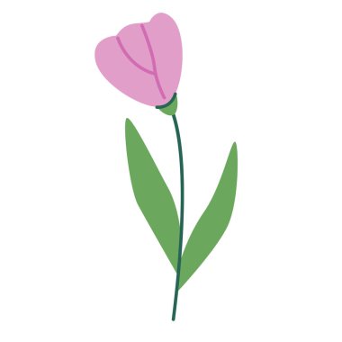 Çiçek açan bahar çiçeği tomurcuğu. Nazik bir tarla çiçeği, bitki. Soyut çayır çiçekleri filizlendi, kök ve yapraklar. Beyaz arkaplanda izole edilmiş botanik düz vektör çizimi