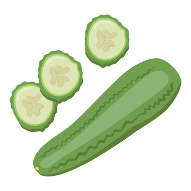 Taze salatalık ve kesilmiş parça. Çiğ yeşil sebze. Sağlıklı sebze yemeği. Düz vektör çizimi beyaz arkaplanda izole edildi