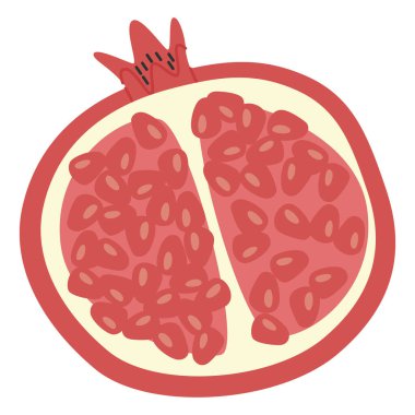 Nar yarım, enine kesit. Tohum ve kamayla bir parça granat meyvesi kes. Egzotik tropik vitamin gıdaları. Düz vektör çizimi beyaz arkaplanda izole edildi