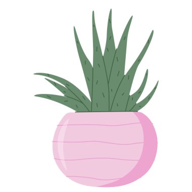 Kil saksıda yeşil kaktüs. Seramik kapta büyüyen bir saksı. Ev yapımı kaktüs bitkisi. İç mekan için botanik dekor elementi. Düz vektör karikatür çizimi beyaz arkaplanda izole edildi