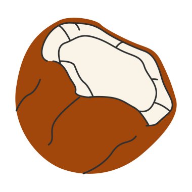 Sert kahverengi kabuklu hindistan cevizi meyvesi. Egzotik tropikal hindistan cevizi ikonu, taze doğal yiyecek, vitamin besin. Organik sağlıklı beslenme. Beyaz arkaplanda izole edilmiş renkli düz grafik vektör çizimi