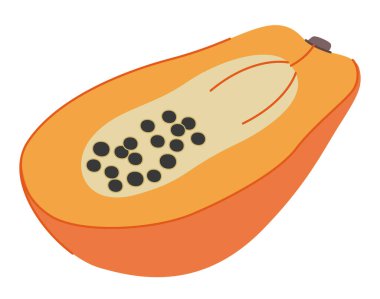 Papaya meyvesi, yarısı siyah tohumla kesilmiş. Egzotik tropikal yiyecekler, taze olgun tatlı patiler kesitleri. Doğal vitamin sağlıklı beslenme. Düz vektör çizimi beyaz arkaplanda izole edildi