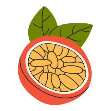 Tutku meyvesi, tam ve yarım dilimlenmiş. Egzotik vitamin gıdaları, tropik tutku meyveleri. Doğal tatlı yemek, hamurlu tohumlar, enine kesit. Düz vektör çizimi beyaz arkaplanda izole edildi