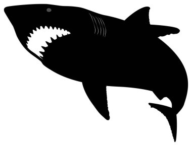 Great white shark swimming with its mouth open