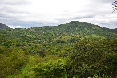 Meksika 'nın Carrizal belediyesinin Guerrero eyaletinde yer alan tepe ve bitki örtüsü