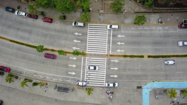 Aerial View Bustling Avenida Costera Queens Park Acapulco Mexico — Stock videók