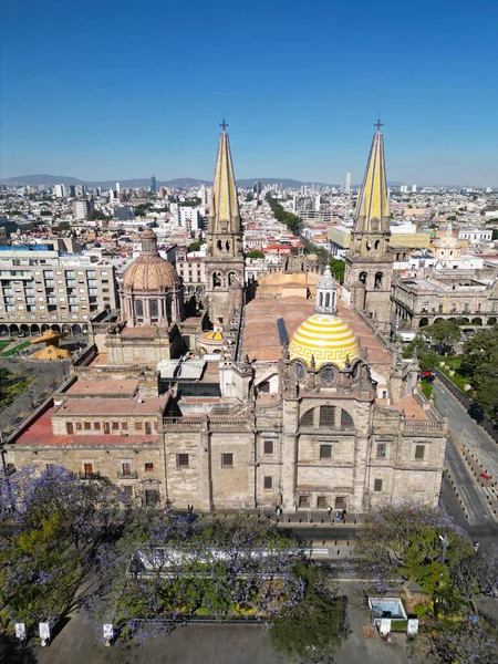 垂直空中射击 瓜达拉哈拉大教堂的后视镜 历史建筑迷人的视角 — 图库照片