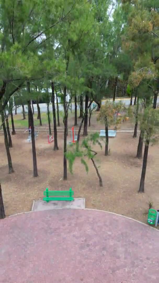 Levantamento Vertical Vídeo Drone Aéreo Parque Luis Damaris Zapopan Vista — Vídeo de Stock