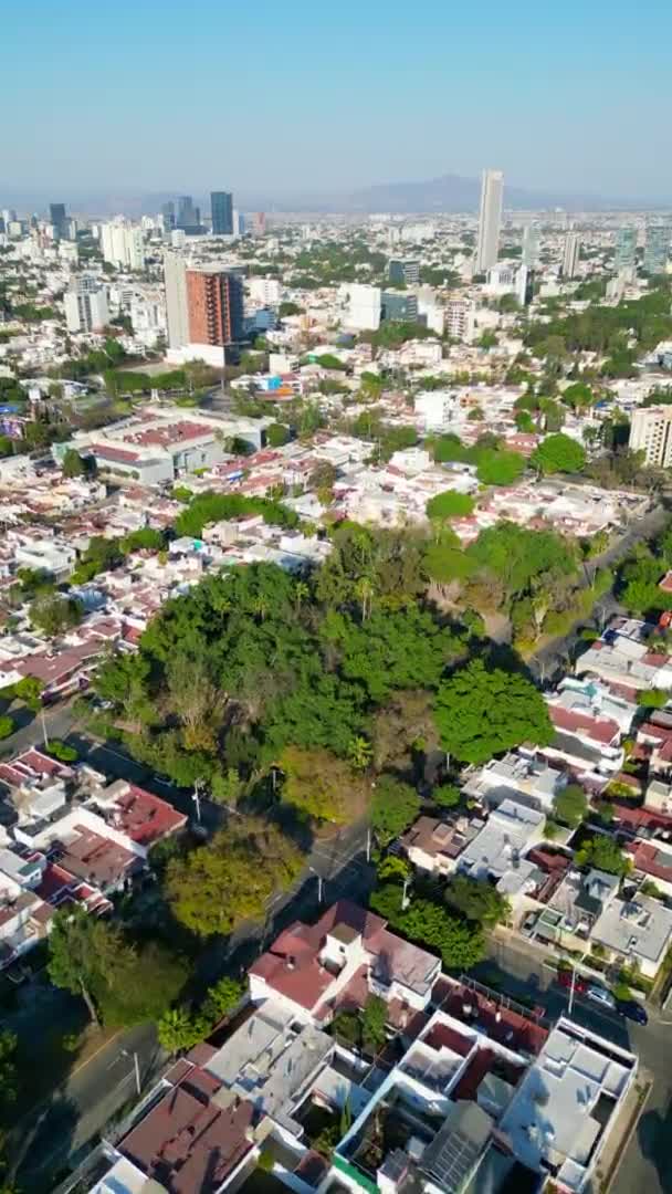 Vuelo Aviones Tripulados Sobre Glorieta Chapalita Guadalajara Vídeo Aéreo Vertical — Vídeo de stock