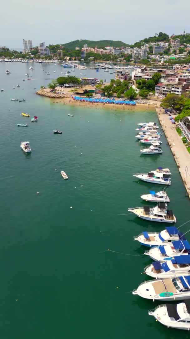 垂直空中景观 在墨西哥Acapulco湾和码头上空盘旋的无人机 — 图库视频影像