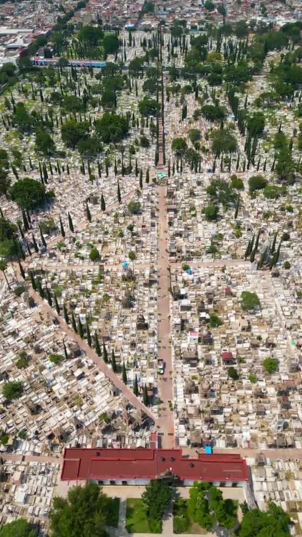 Letecká Vertikální Úcta Zkoumání Mezikvitánského Hřbitova Guadalajaře Mexiko — Stock video