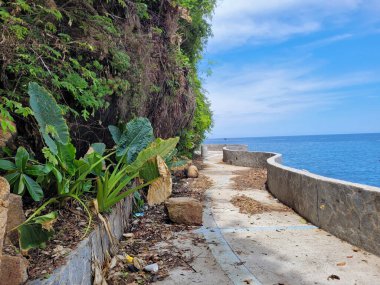 Acapulco 'daki Playa La Angosta kıyısında yemyeşil ve sakin denizle çevrili sakin bir patika.