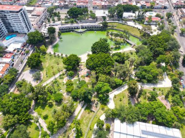 Yatay Hava Panoraması: Park Alcalde, Guadalajara Meksika - Ağaçlar ve Göl Manzarası