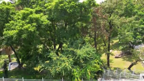 Vertrek Marvel Drone Soars Uit Parque Alcalde Guadalajara Mexico — Stockvideo