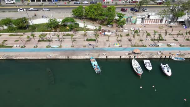 Captura Imágenes Drones Laterales Deslizándose Sobre Vibrante Paseo Del Pescador — Vídeo de stock