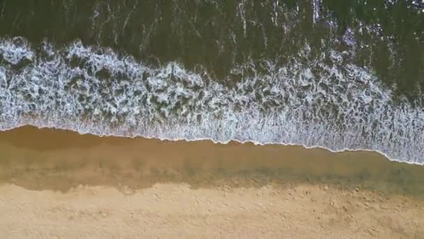 Hafif Dalgalar Yumuşak Kumlu Plaj Arasındaki Sakin Etkileşimi Gösteren Lar — Stok video