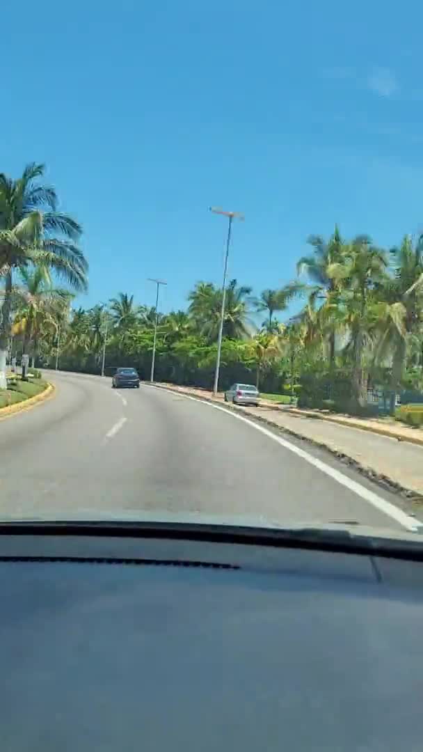 Parlak Mavi Acapulco Gökyüzünün Altında Palmiye Çizgili Bir Bulvar Boyunca — Stok video