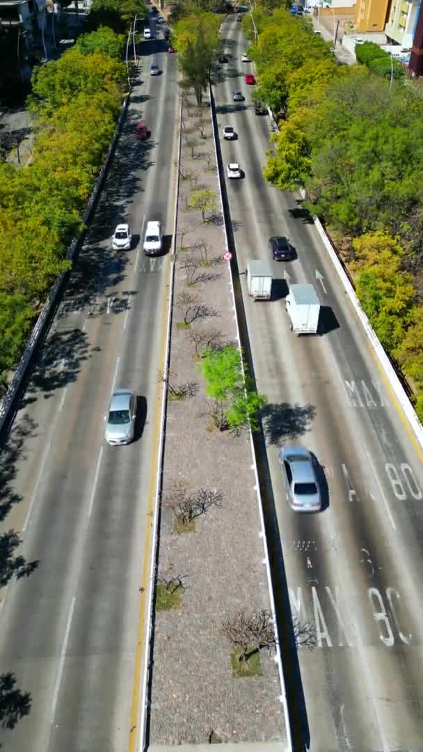 Vertikala Drönarbilder Fånga Trafik Matute Remus Bridge Guadalajara Mexiko — Stockvideo