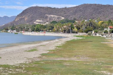 Chapala Gölü 'nün eşsiz manzarası. Suyun karayla buluştuğu yer. Jalisco' nun sevgili gölünün doğal çeşitliliğini gösteriyor.