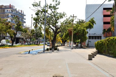 Acapulco, Meksika - 27 Nisan 2024: Otis Kasırgası 'ndan yarım yıl sonra boş banklar ve budanmış ağaçlarla ıssız görünen bir Acapulco caddesi.