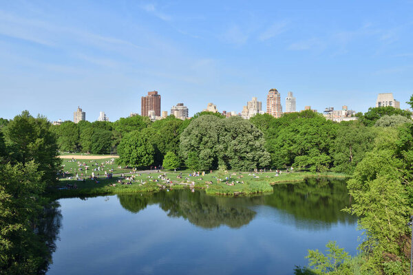 NY centralA park with a lake and a city in the background. Озеро спокойное и мирное, а город на заднем плане бурлит активностью