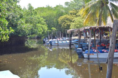 La Tovara Rıhtımı. San Blas, Nayarit, Meksika.
