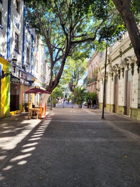 Guadalajara, Meksika - 4 Şubat 2024: Guadalajara şehir merkezindeki bir ara sokağa dikey görüş