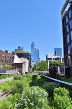 New York, ABD - 17 Mayıs 2023: Yeşil yolu ve High Line 'da bir binası olan bir şehir manzarası. Gökyüzü açık ve mavi