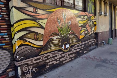 Guadalajara, Meksika - 18 Mart 2024: Üzerinde çiçek olan bir kitabın duvar resmi