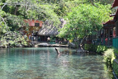 Horizontal view of the natural pond inside the La Tovara crocodile farm in San Blas, Nayarit clipart