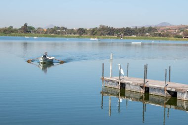 Cajijitlan, Meksika - 3 Şubat 2025: Bir balıkçı kuşlarla dolu ahşap bir rıhtımın yakınındaki Cajititlan, Jalisco Gölü 'nün sakin sularında kürek çekiyor