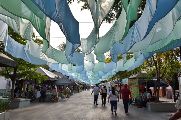 Zapopan, Meksika - 8 Haziran 2024: Zapopan 'daki Andador 20 de Noviembre manzarası, canlı kumaş dekorasyonları ve pazar tezgahları boyunca yürüyen insanlar