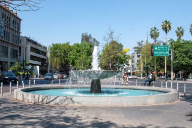Guadalajara, Meksika - 8 Şubat 2025: Guadalajara, Meksika 'daki Avenida Chapultepec' teki çeşme, ağaçlar, trafik ve arka planda insanlar