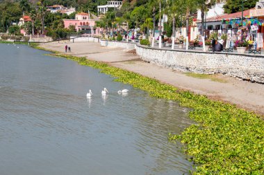 Chapala Gölü 'nün sakin manzarası canlı ve canlı bir Meksika rıhtımının yanında üç beyaz kuş var.