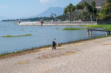 Chapala, Meksika - 24 Noviembre 2024 Chapala İskelesi boyunca bir adam ve köpeği olarak huzurlu bir yürüyüş Palmiye ağaçlarının altındaki gölün keyfini çıkarın