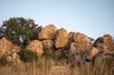 El Diente, Zapopan, Jalisco, Meksika 'da çimen ve bitki örtüsüyle çevrili engebeli kaya oluşumlarının ayrıntılı görüntüsü
