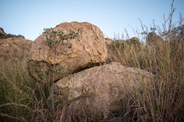 Zapopan, Jalisco 'daki El Diente' de muazzam kayalar ve yemyeşil bitki örtüsü, doğa ve jeolojinin çarpıcı bir görüntüsünü sunuyor.