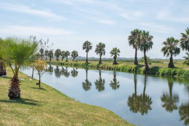 Jamay, Jalisco, Meksika 'daki Malecon' un yeşil nehir kıyısı boyunca suyla yansıyan palmiye ağaçlarının sakin manzarası