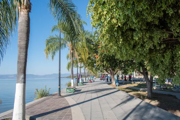 Ajijiç, Meksika - 26 Ocak 2025: Ajijic rıhtımında palmiye ağaçları, gölgeler ve Chapala Gölü 'nün yanından geçen insanlarla dolu güneşli bir gün