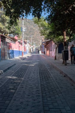 Ajijiç, Meksika - 26 Ocak 2025: Ajijiç, Jalisco 'da ağaçlar ve tepeler tarafından çerçevelenmiş canlı evleri ve kaldırımları olan geleneksel cadde
