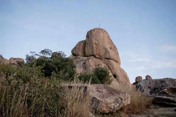 El Diente 'de kuru otlarla çevrili görkemli kayalık oluşumlar, Zapopan, Jalisco, Meksika' da doğal bir nokta.