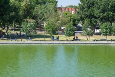 Bir grup insan, Guadalajara 'daki Alcalde Park' taki yeşil göletin yakınındaki açık havada eğleniyor.