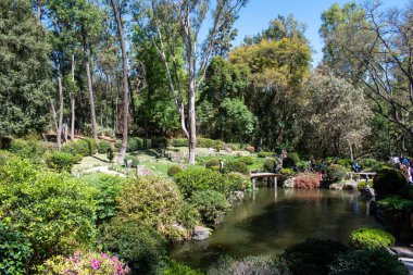 Göl manzarası, ahşap köprü ve Colomos Ormanı, Guadalajara, Meksika 'daki Japon bahçesindeki manzaralı bitki örtüsü.