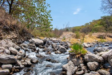 Meksika, Guadalajara yakınlarındaki Sıcak Nehir 'deki siyah volkanik kayaların üzerinden hızlı su akıyor.