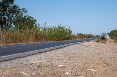 Cocula, Jalisco 'da temiz bir gökyüzünün altında kuru kırsal alanda uzun bir asfalt yolu uzanıyor.