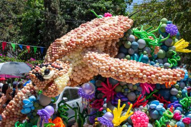 Guadalajara, Meksika - 4 Mayıs 2025: Guadalajara balon geçit töreninde renkli mercan resiflerinde yüzen balonlardan oluşan büyük kaplumbağa